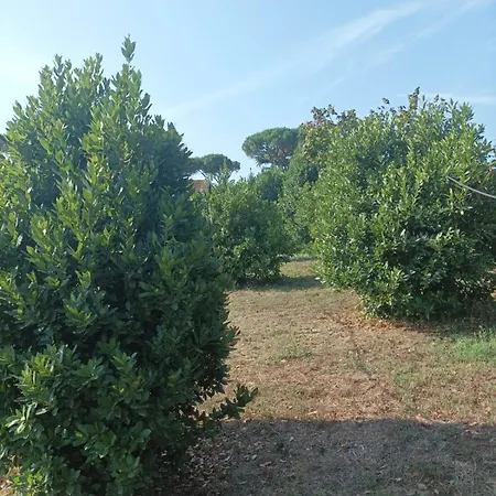 Casa Marile Borghetto (Lazio)